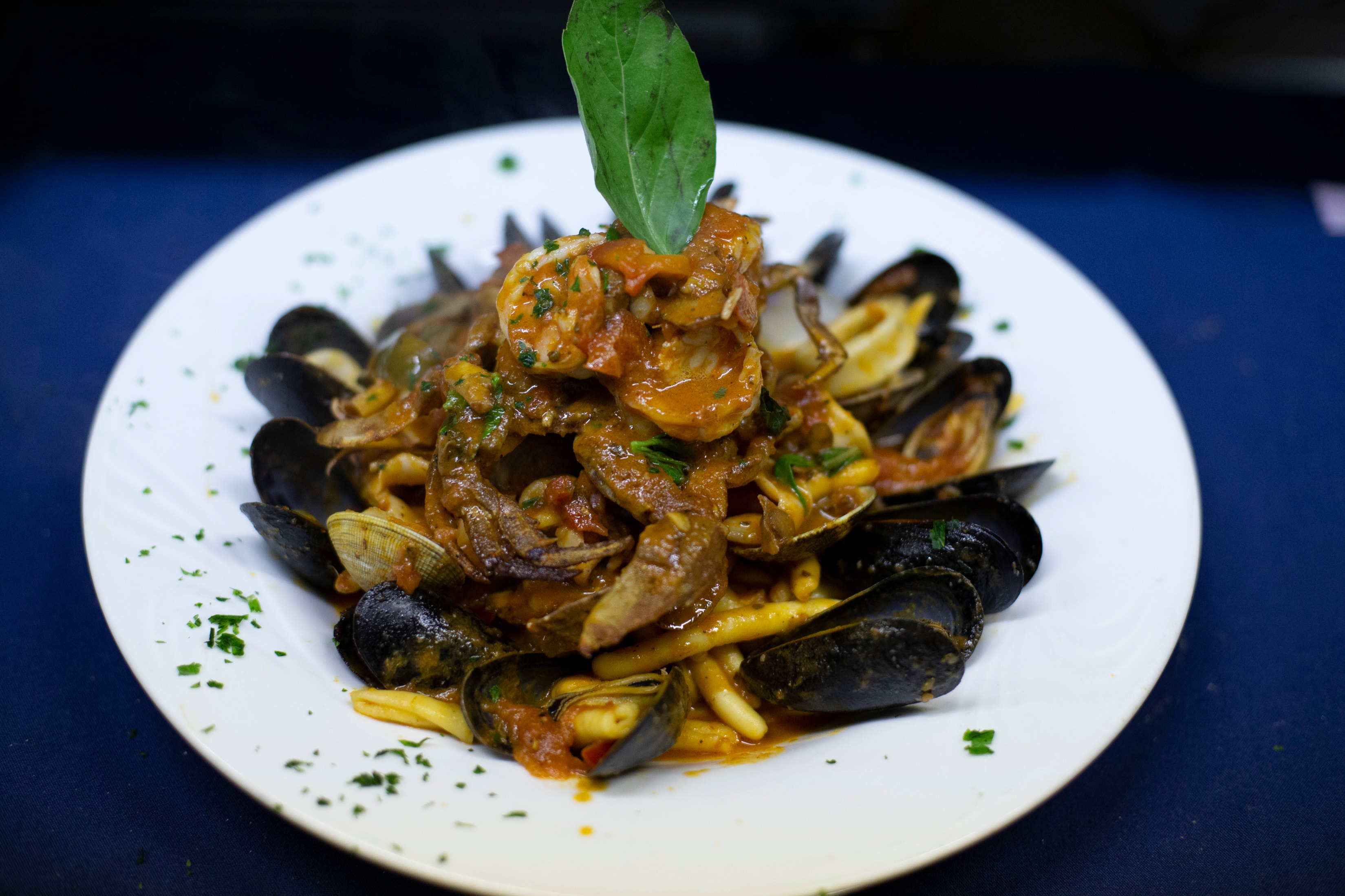Cavatelli pasta with mussels, shrimp and clams in marinara