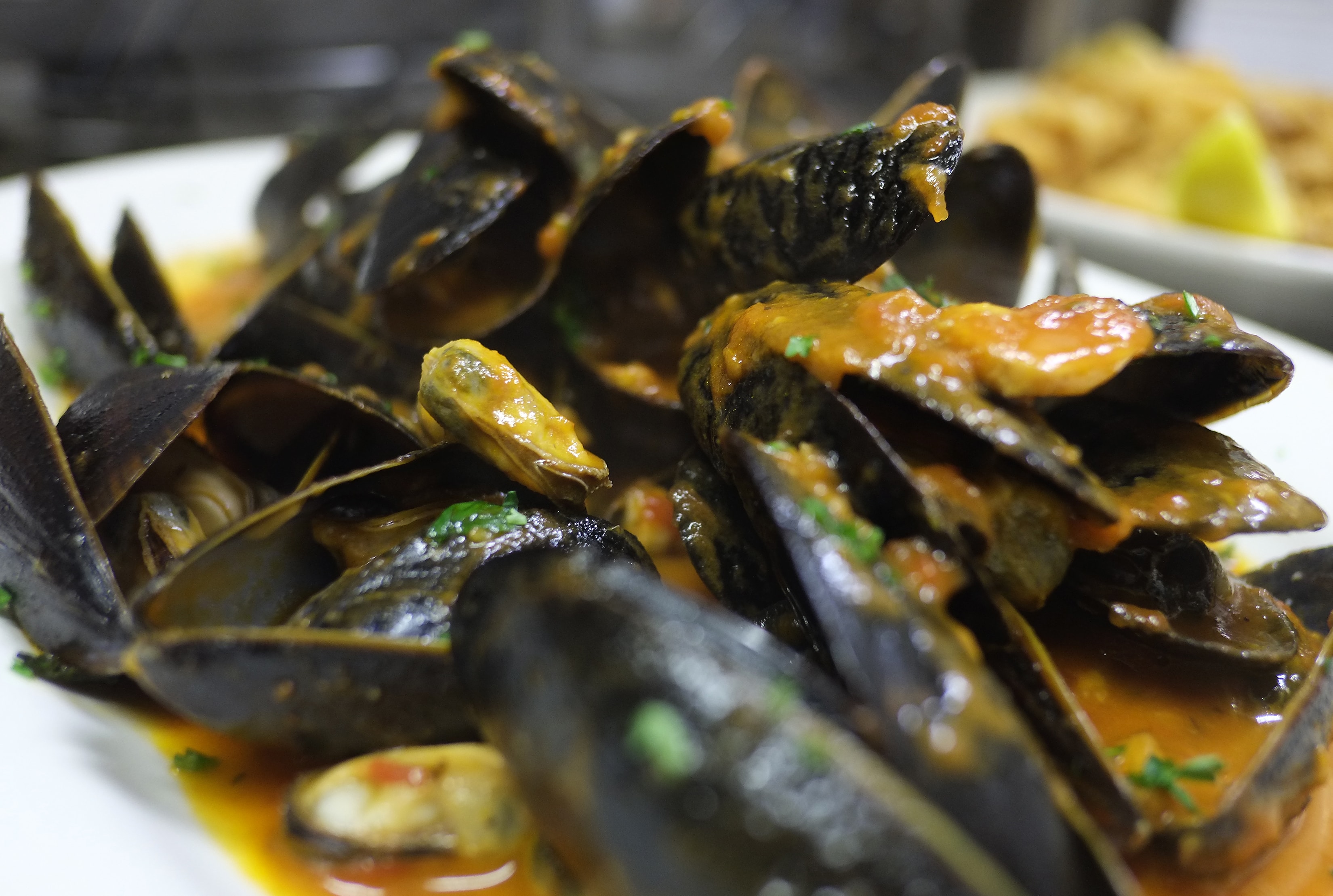 Mussels in marinara sauce
